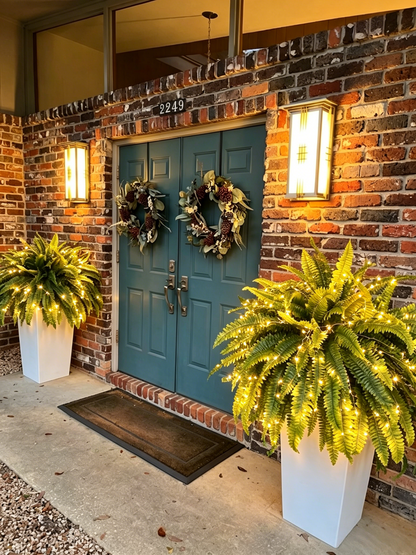💛Glowing Boston Ferns with Lights – 🌿 Zero Watering, Zero Maintenance